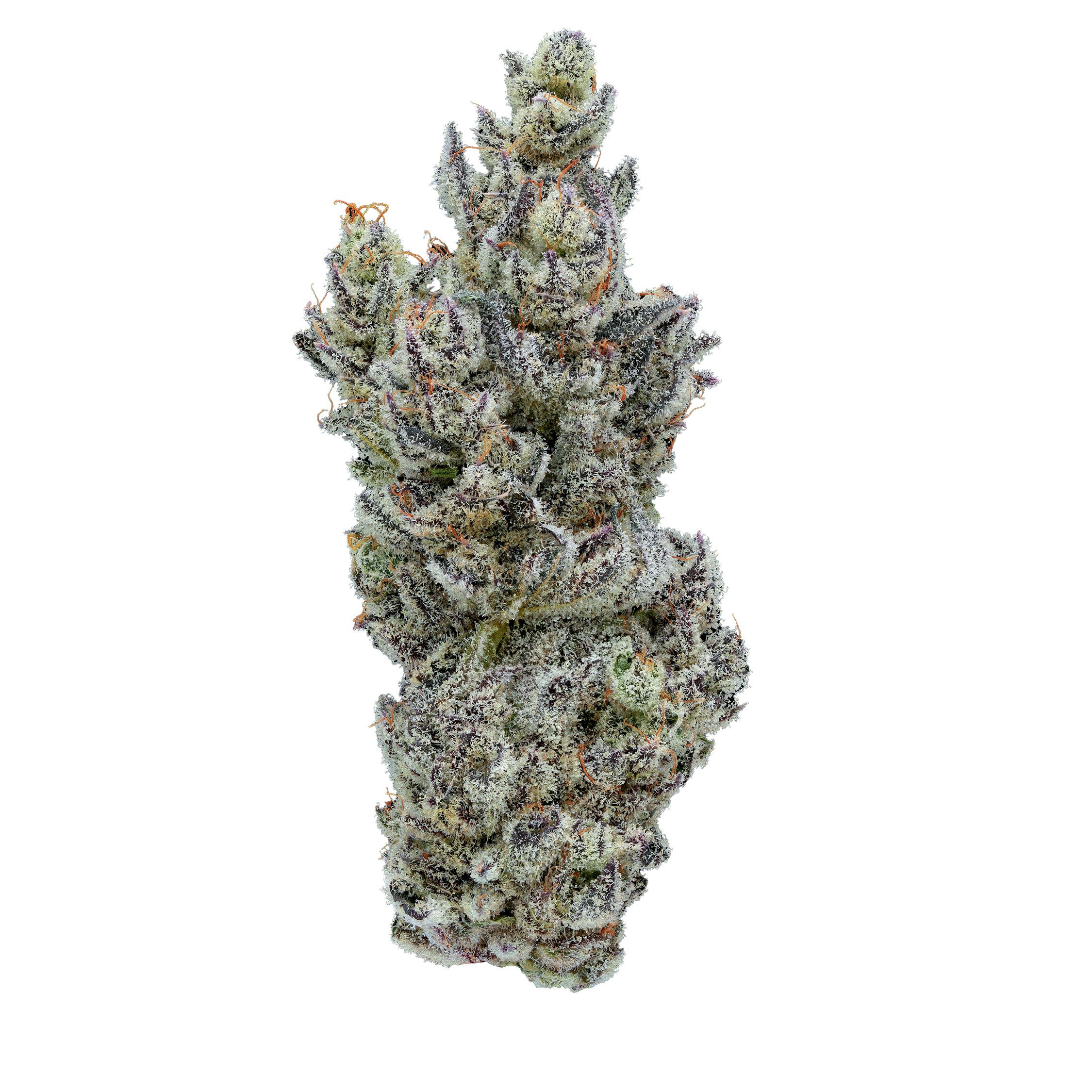 Fig Farms - Fig Farms | Holy Moly! | Big Buds - 1