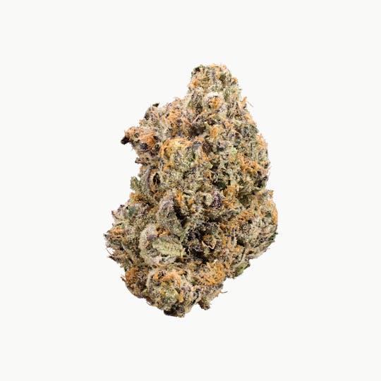 XOTX - Jet Fuel Gelato 7G - 1