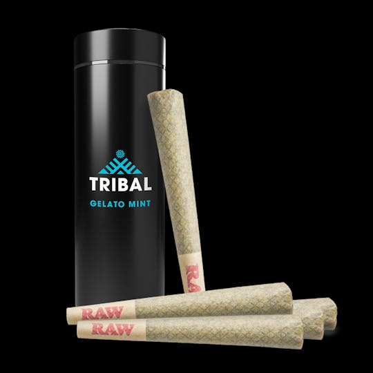 Tribal - Gelato Mint Pre-Rolls (5x0.6G) - 1