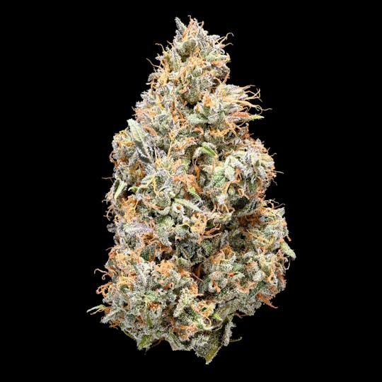 Tribal - Cuban Linx 28G - 1