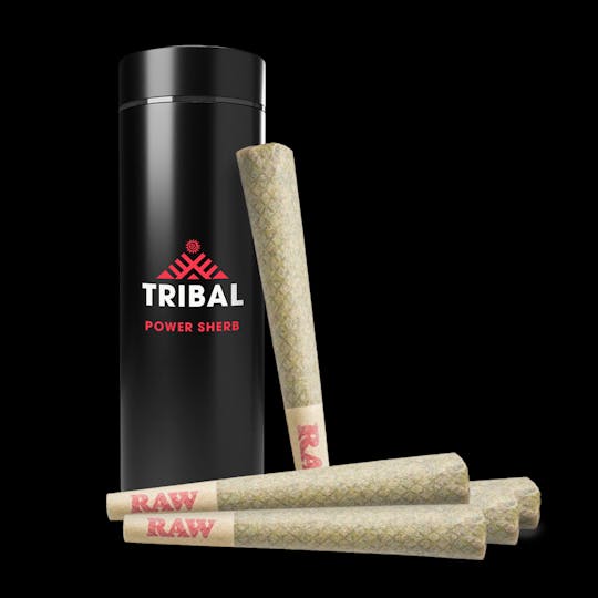 Tribal - Power Sherb Pre-Rolls (5x0.6G) - 1