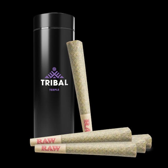 Tribal - Terple Pre-Rolls (5x0.6G) - 1