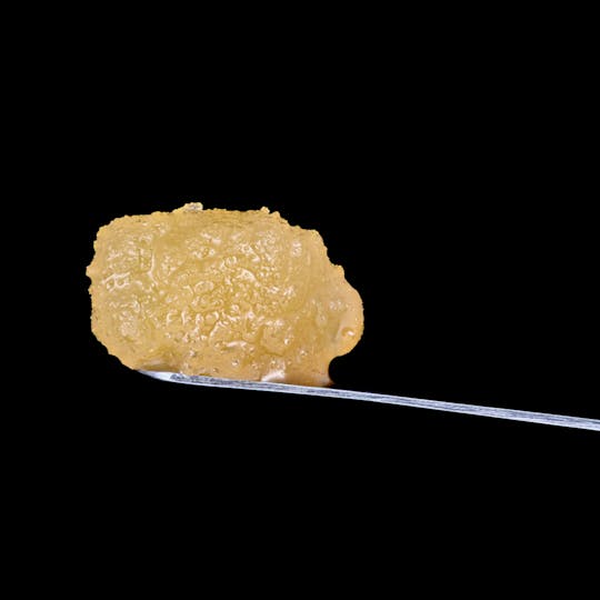 Tribal - Galactic Rntz Full Spectrum Extract - 1