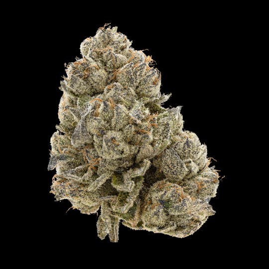 Tribal - Drip Station 28G - 1
