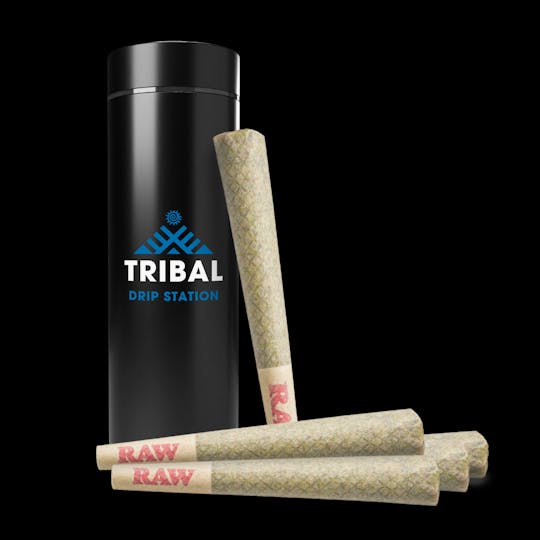 Tribal - Drip Station Pre-Rolls (5x0.6G) - 1