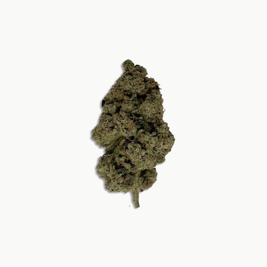 Indico - Triangle Kush - Pure Nectar - 1