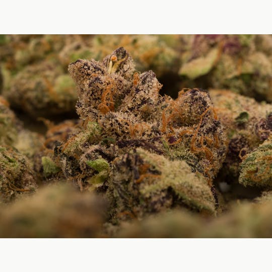 GEMZ PREMIUM - GEMZ GELATINA 14G INDOOR SMALLS - 1