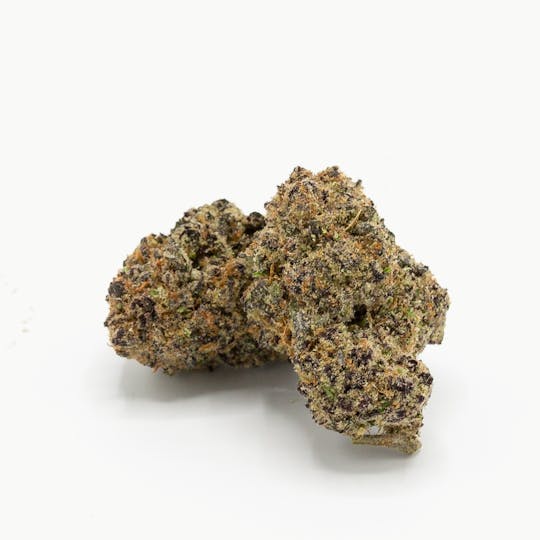 Calyxeum - Gelato Sundae Deli Style Indoor Flower - 1