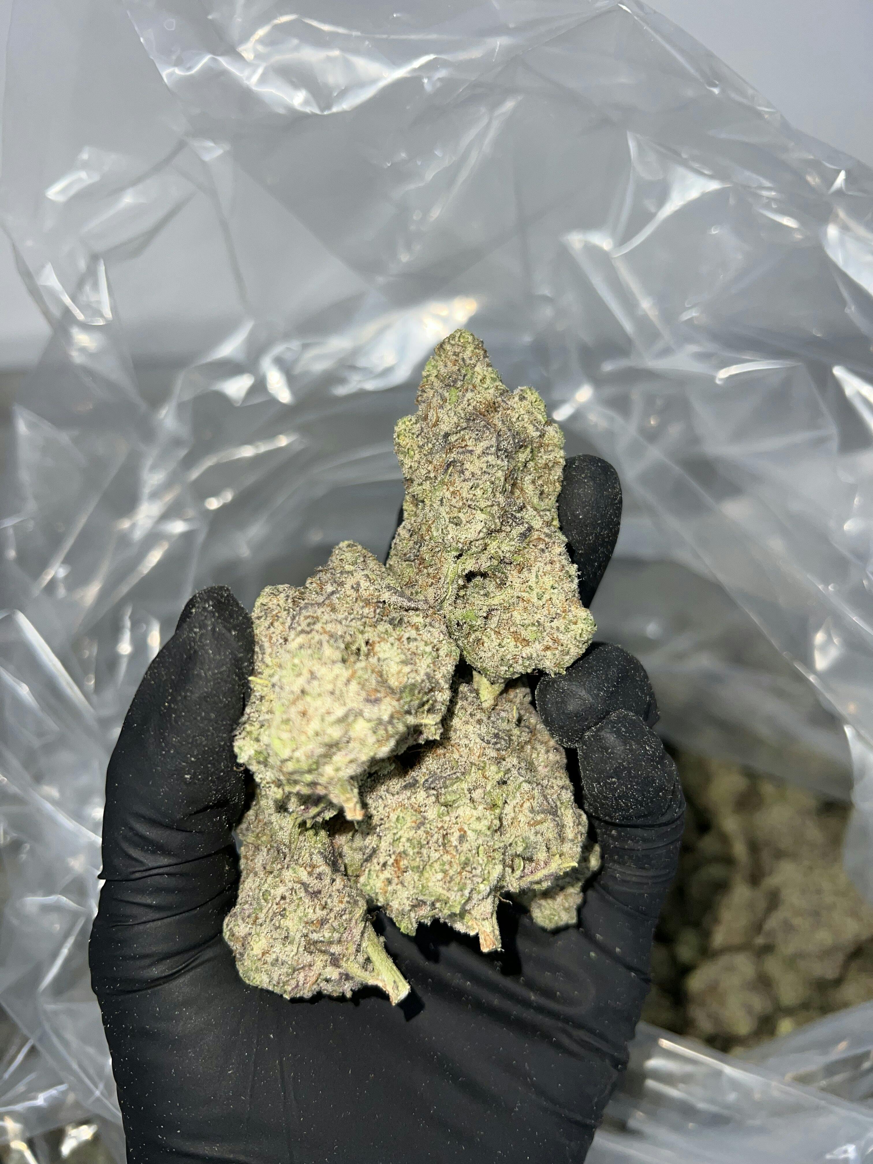 Calyxeum - Miracle Ailen Cookies Deli Style Indoor Flower - 1