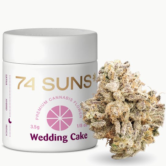 74 Suns - Wedding Cake - 3.5g (Jar) Flower - 1