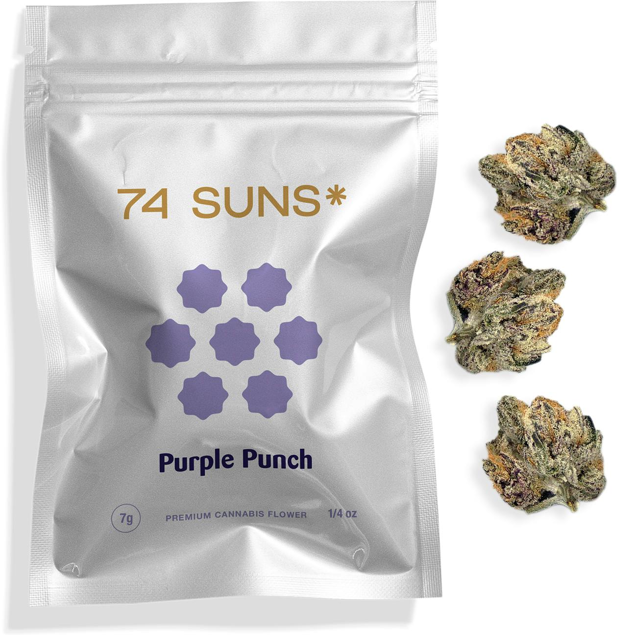 74 Suns - Purple Punch - 7g (Bag) Flower - 1