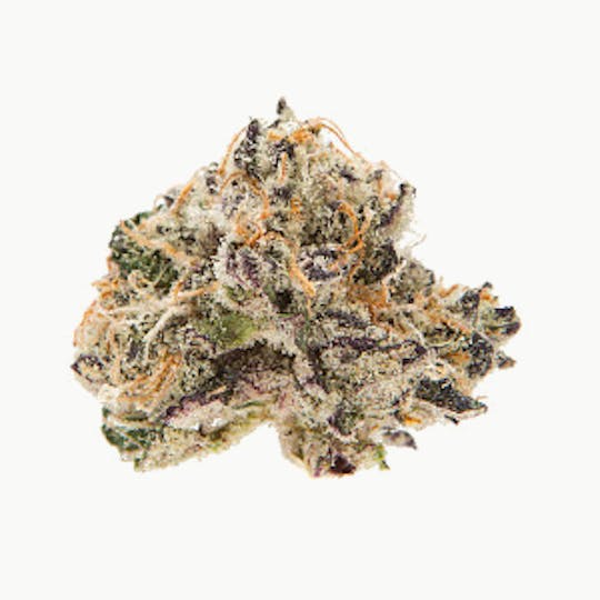 74 Suns - Magnolia Cookies - 7g (Bag) Flower - 1