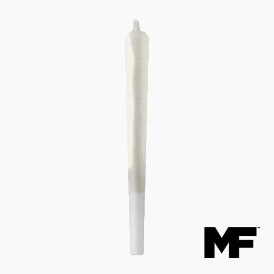 Modern Flower - Modern Flower | Banana Pie | Joint | 1g - 1