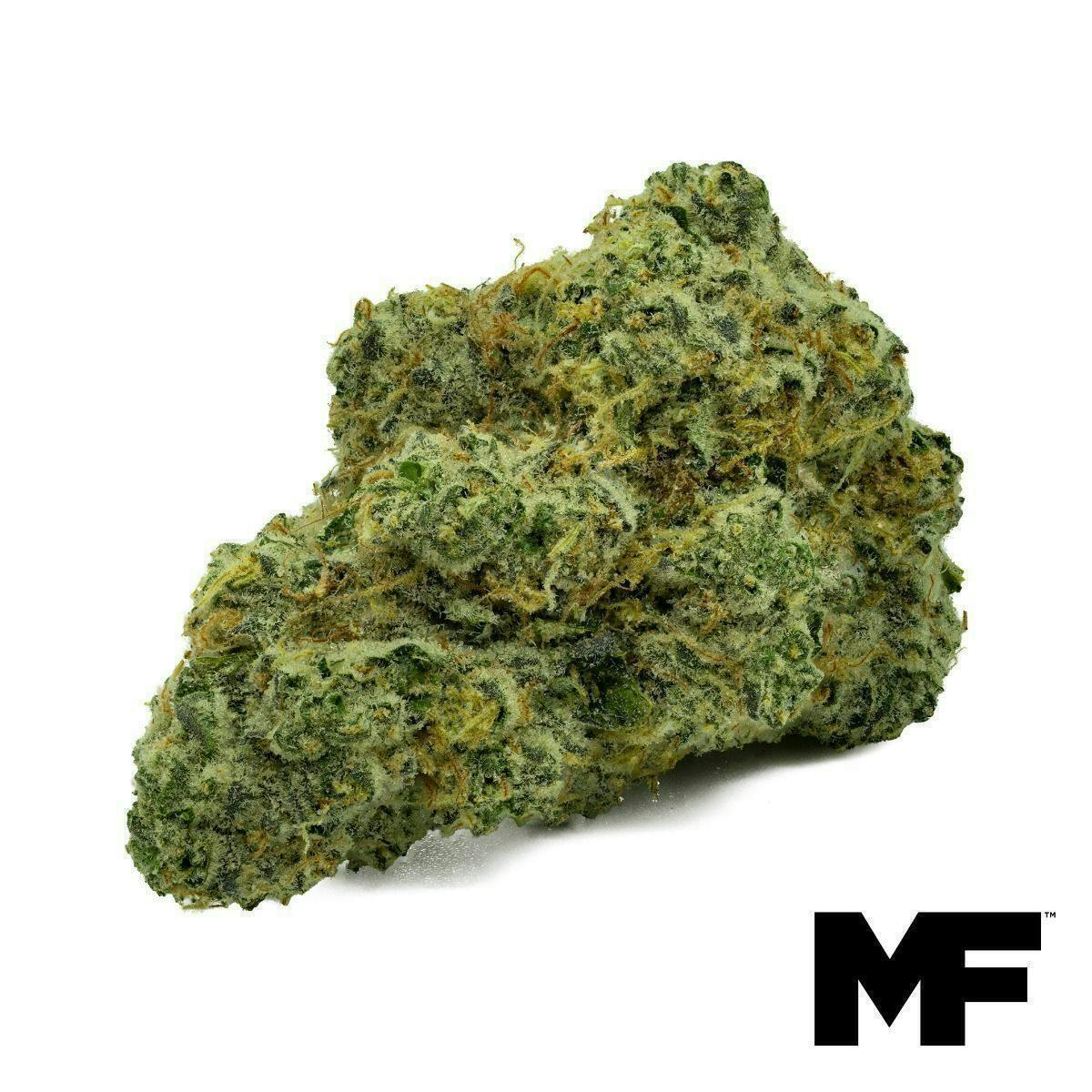 Modern Flower - Modern Flower | Banana Pie | Big Buds | 3.5g - 1
