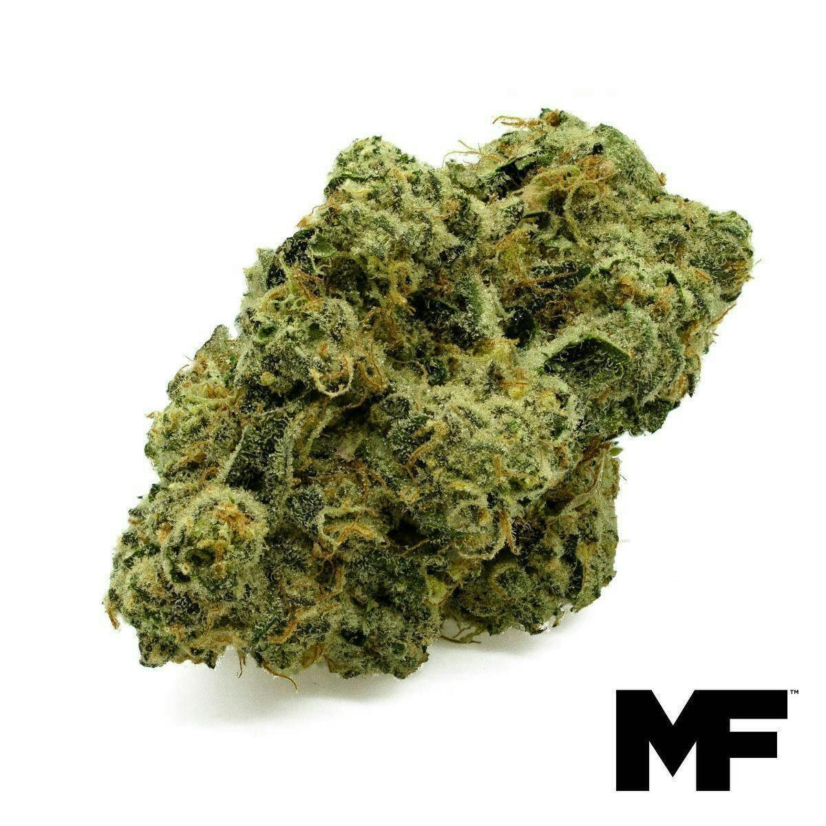 Modern Flower - Modern Flower | Space Coast Cake | Big Buds | 3.5g - 1