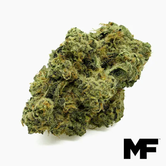 Modern Flower - Modern Flower | Space Coast Cake | Big Buds | 3.5g - 1