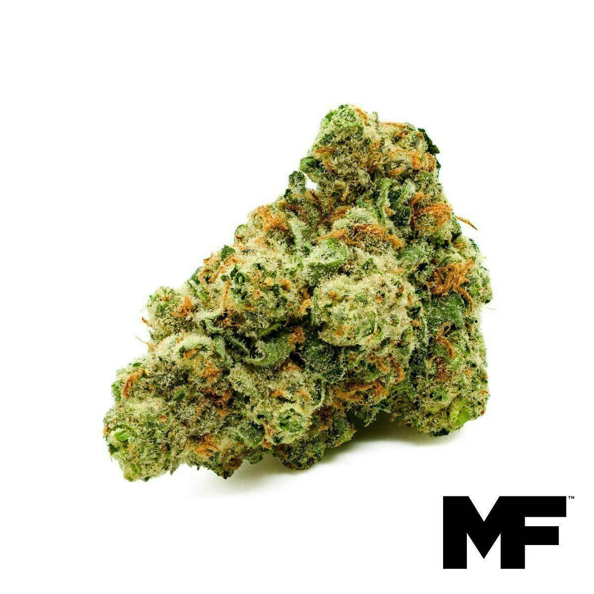 Modern Flower - Modern Flower | Tiger Haze | Big Buds | 3.5g - 1