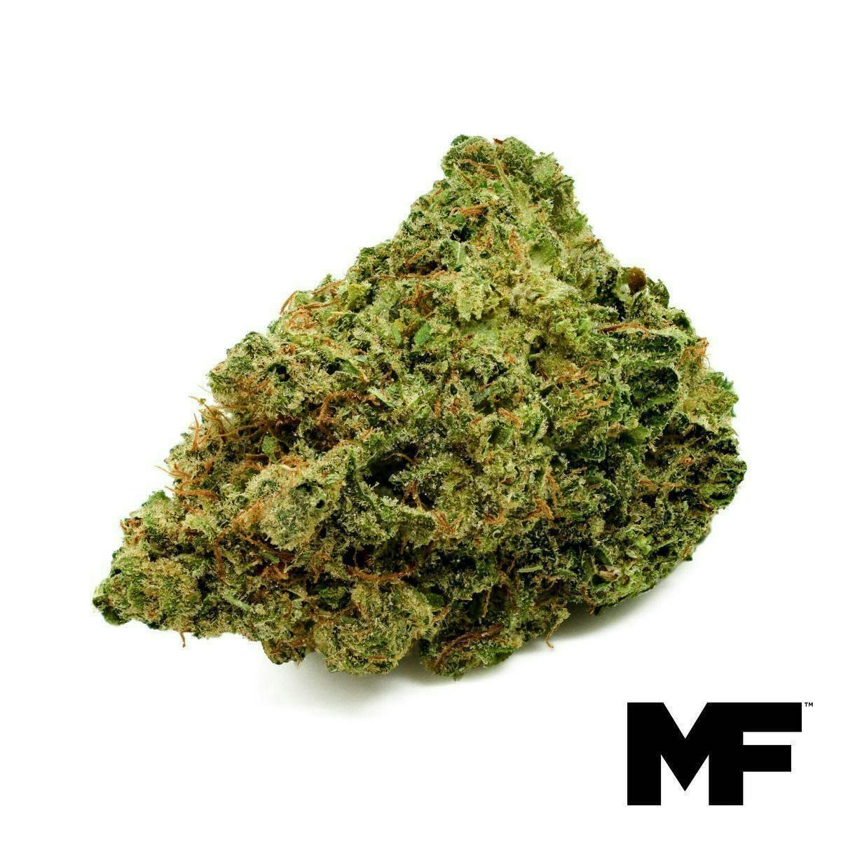 Modern Flower - Modern Flower | Lieutenant Lemon | Big Buds | 3.5g - 1
