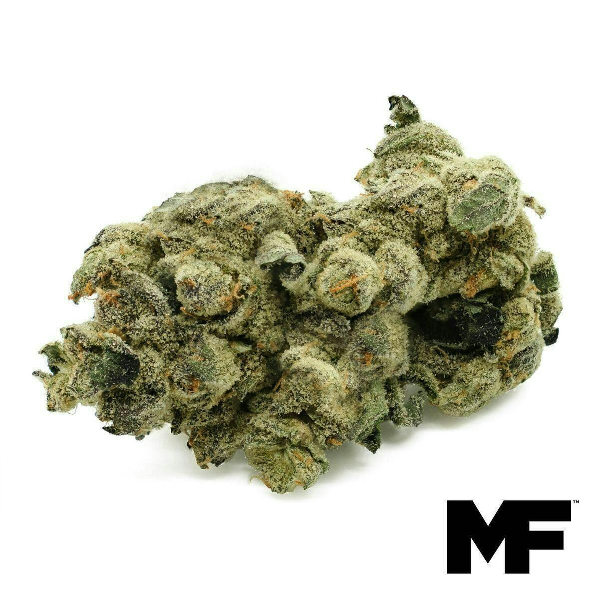 Modern Flower - Modern Flower | First Coast Kush | Big Buds | 3.5g - 1