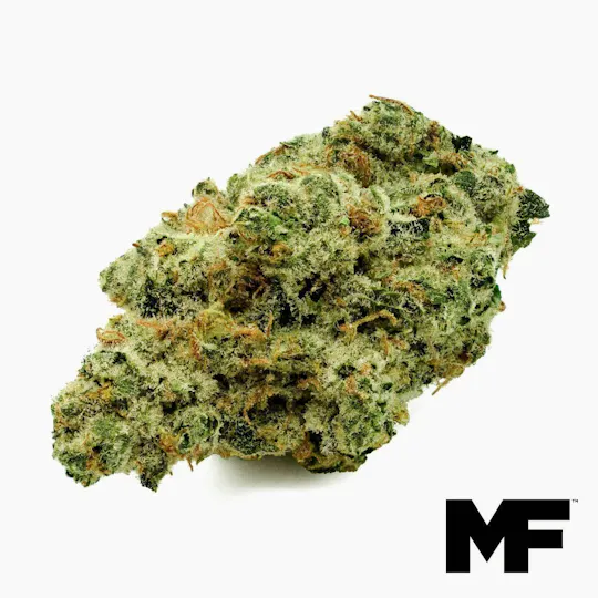 Modern Flower - Modern Flower | Golden Pineapple | Big Buds | 3.5g - 1
