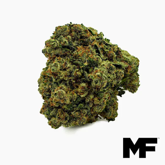 undefined - Modern Flower | GMO X Legend OG | Big Buds | 3.5g - 1