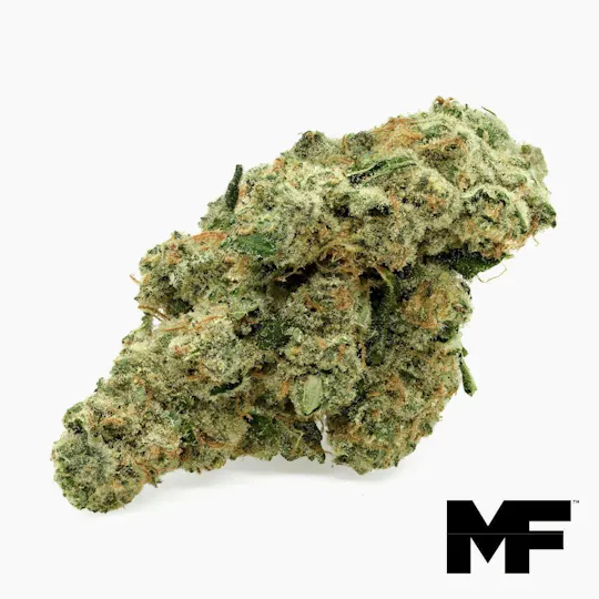 Modern Flower - Modern Flower | Royal Cheese | Big Buds | 3.5g - 1