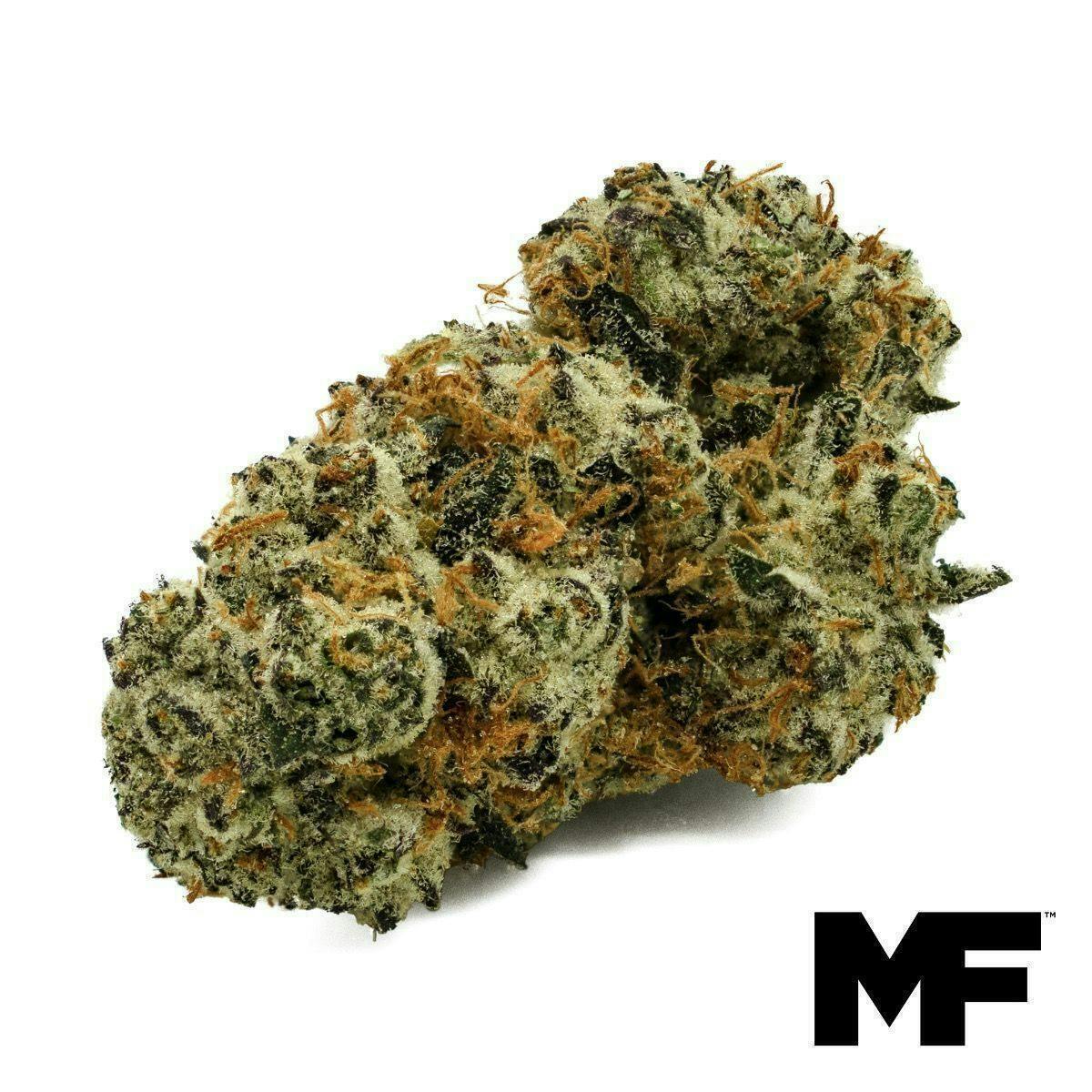 Modern Flower - Modern Flower | Sly Look | Big Buds | 3.5g - 1