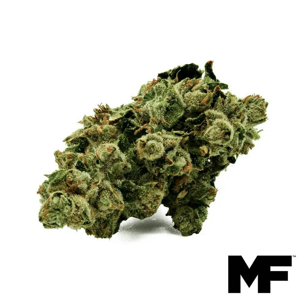 Modern Flower - Modern Flower | Paradise Waits | Big Buds | 3.5g - 1