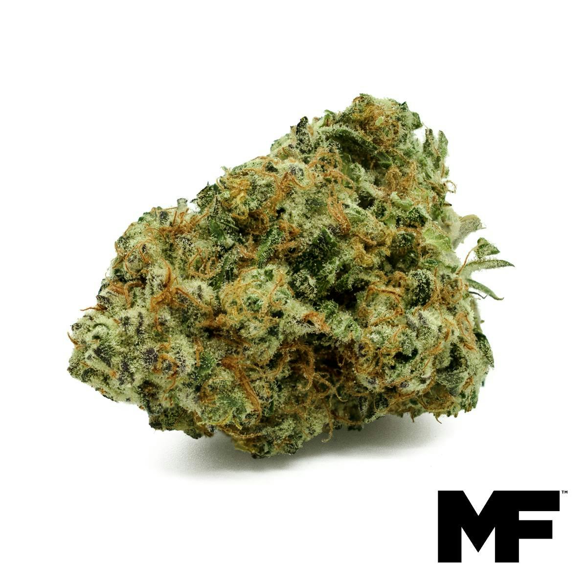 Modern Flower - Modern Flower | Crimson Queen | Big Buds | 3.5g - 1
