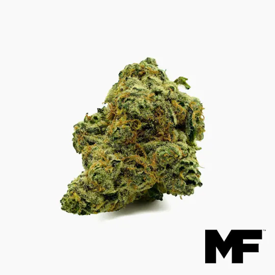 Modern Flower - Modern Flower | Banana Bread | Big Buds | 3.5g - 1