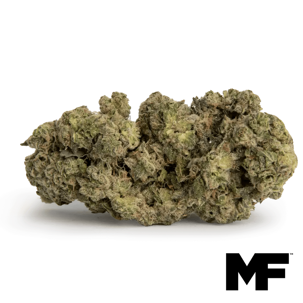 Modern Flower - Modern Flower | Space Age Cake | Big Buds | 3.5g - 1