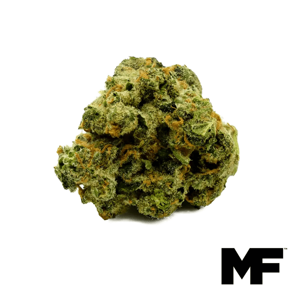 Modern Flower - Modern Flower | Banana Power | Big Buds | 3.5g - 1
