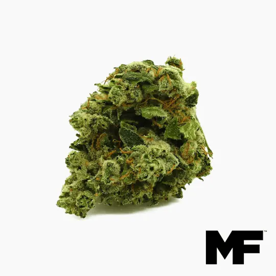 Modern Flower - Modern Flower | Wood Shiva | Big Buds | 3.5g - 1