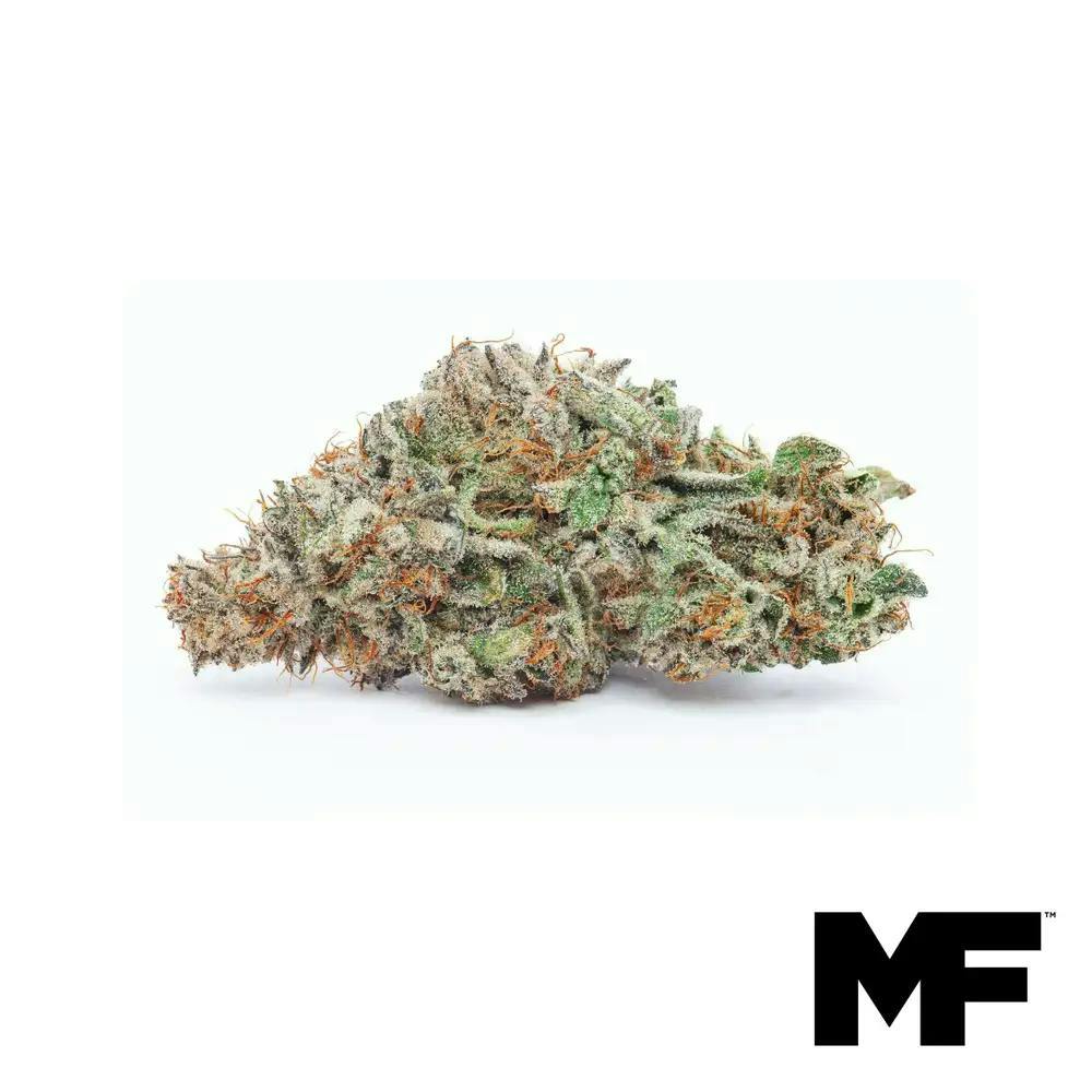 Modern Flower - Modern Flower | Solomon Grundy | Big Buds | 3.5g - 1