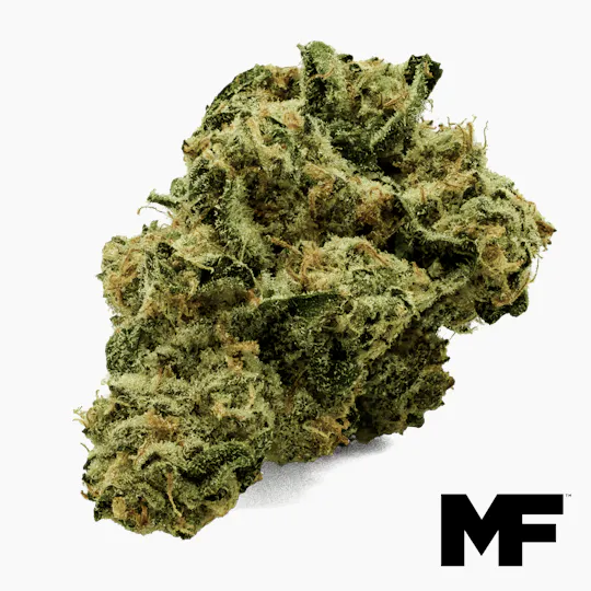 Modern Flower - Modern Flower | LA Kush Cake | Big Buds | 3.5g - 1
