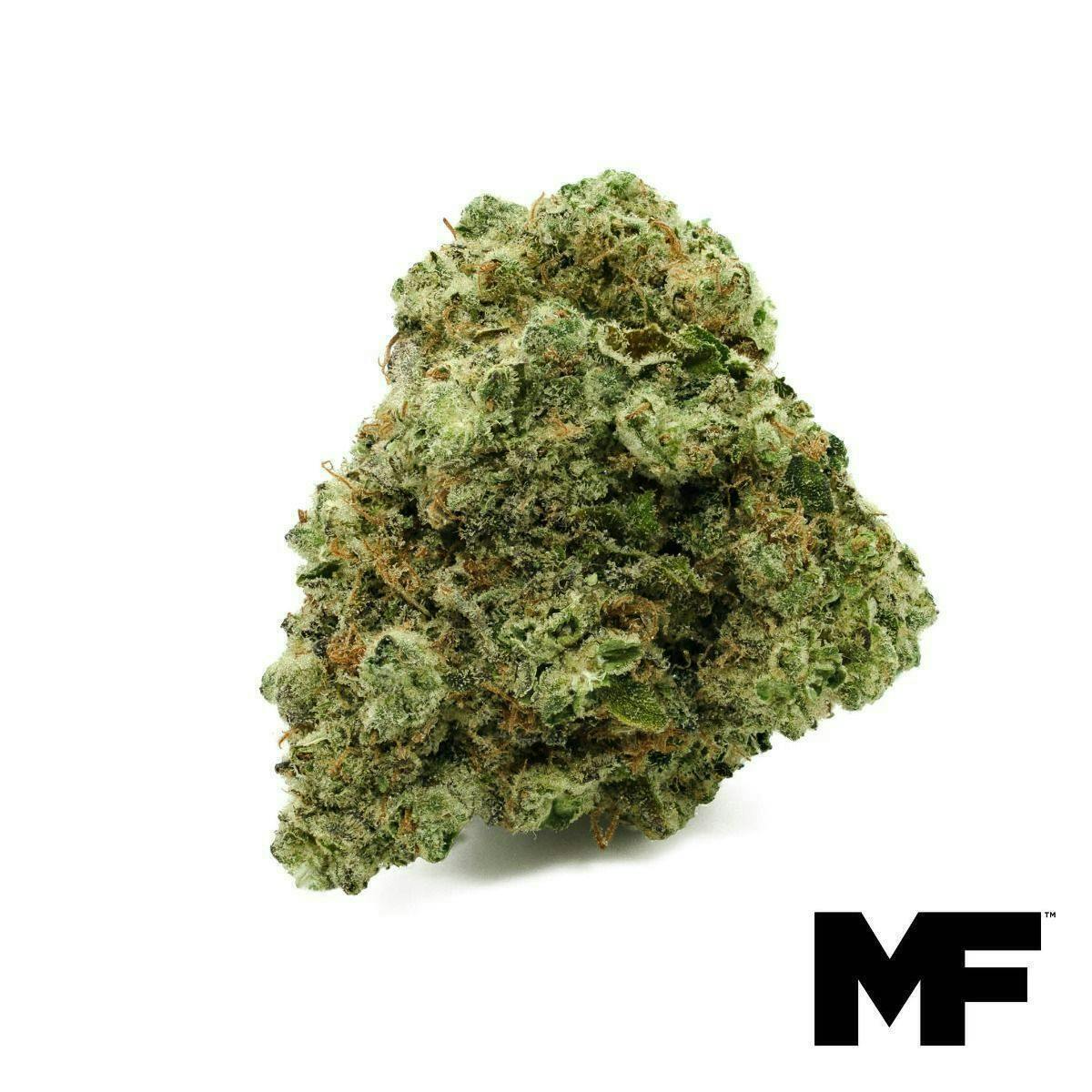 Modern Flower - Modern Flower | Kitchen Sink | Big Buds | 3.5g - 1
