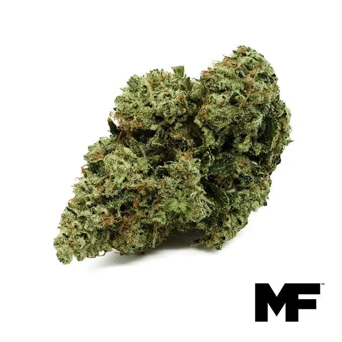 Modern Flower - Modern Flower | Double OG Chem | Big Buds | 3.5g - 1