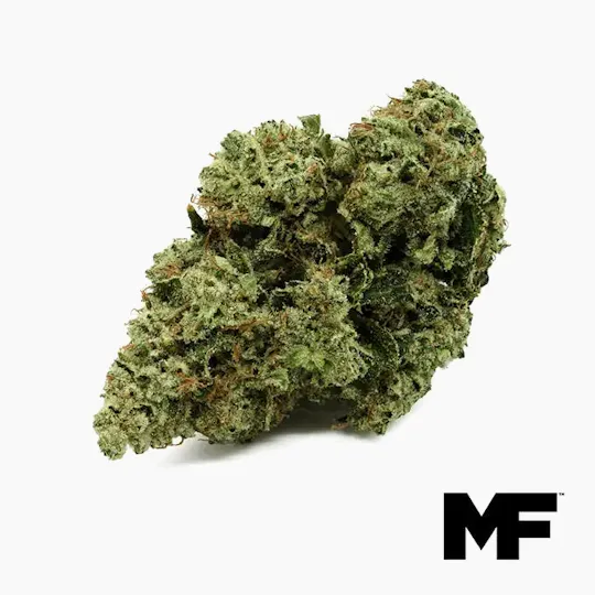 Modern Flower - Modern Flower | Double OG Chem | Big Buds | 3.5g - 1