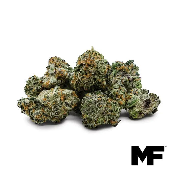 Modern Flower - Modern Flower | Dutch Hawaiian | Smalls | 3.5g - 1