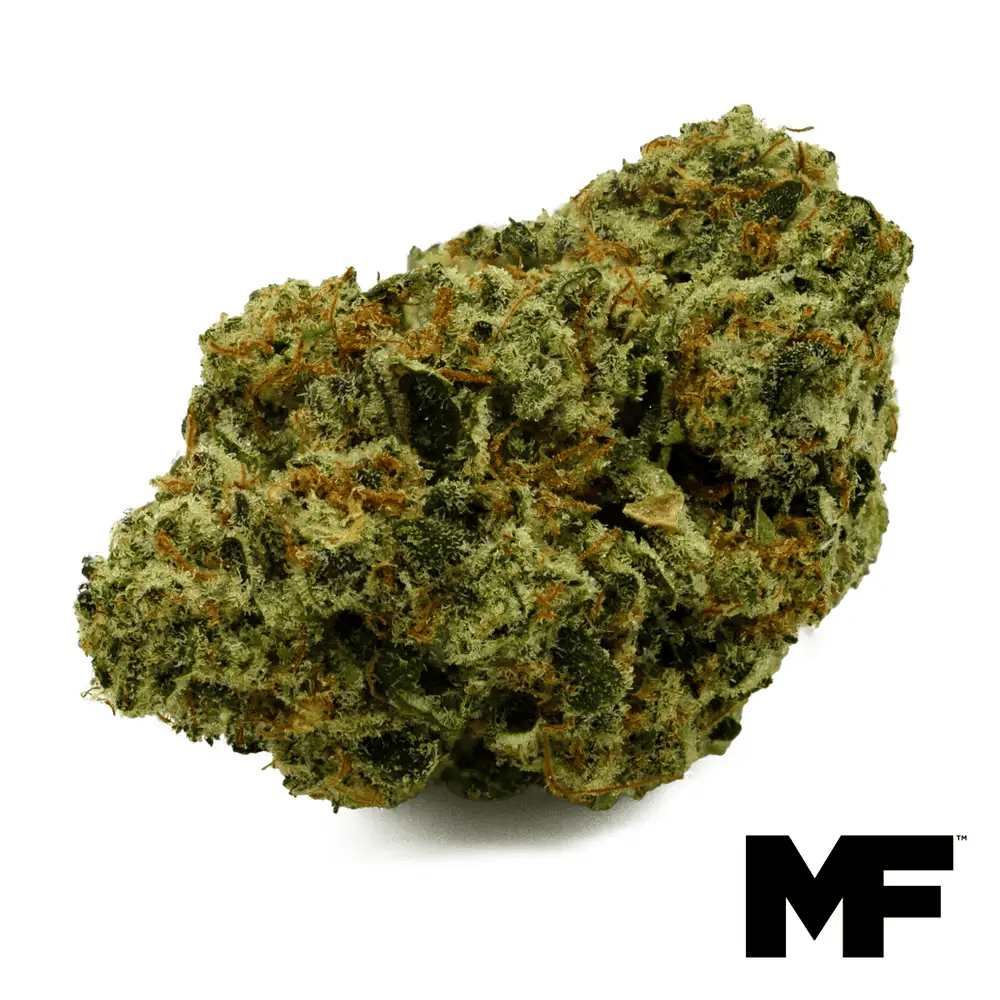 Modern Flower - Modern Flower | Blue Spring Cookies | Big Buds | 3.5g - 1