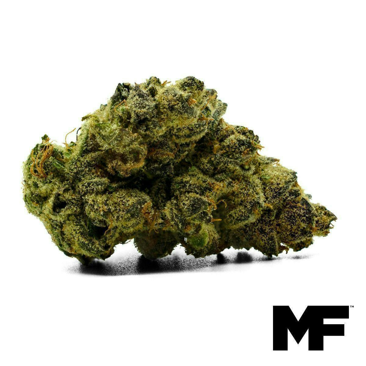 Modern Flower - Modern Flower | Pink Cookies | Big Buds | 3.5g - 1