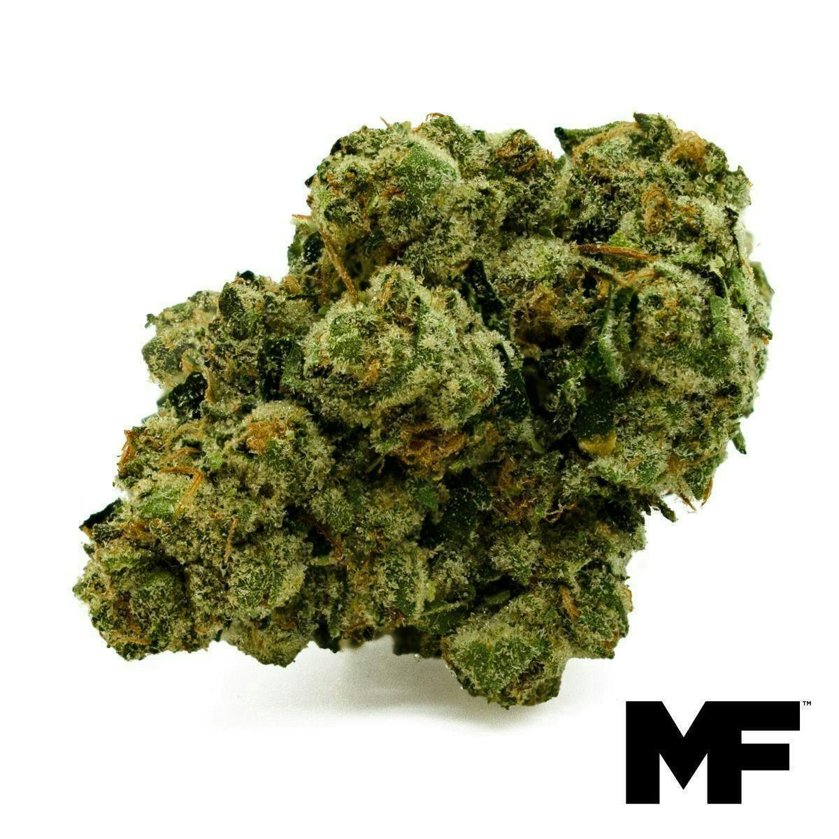 Modern Flower - Modern Flower | 304 Kush | Big Buds | 3.5g - 1