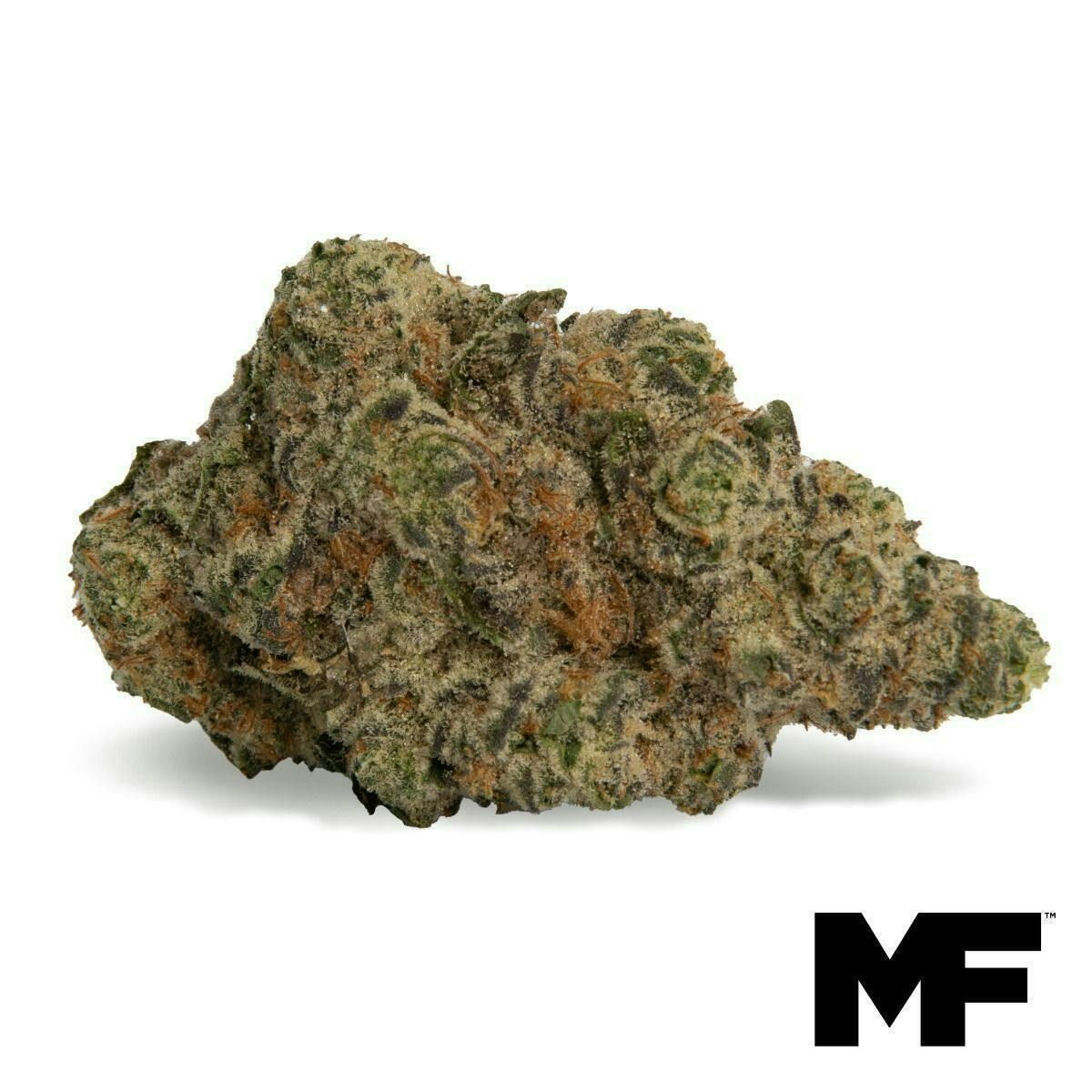 Modern Flower - Modern Flower | Purple Parfait | Big Buds | 3.5g - 1