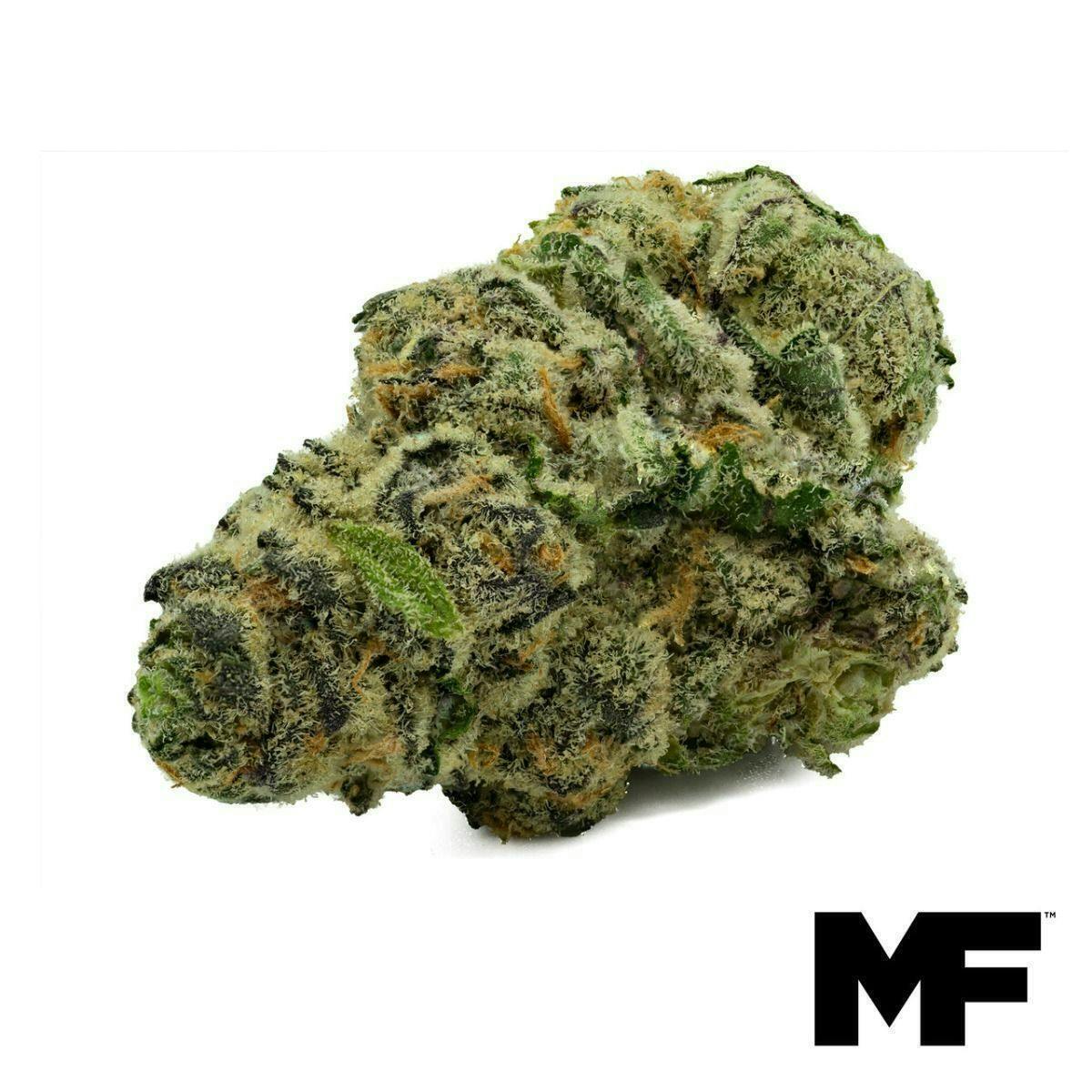 Modern Flower - Modern Flower | White 99 | Big Buds | 3.5g - 1