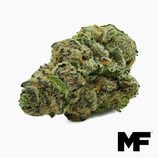 Modern Flower - Modern Flower | White 99 | Big Buds | 3.5g - 1