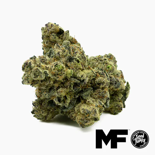 Modern Flower - Modern Flower | PPP | Big Buds | 3.5g - 1