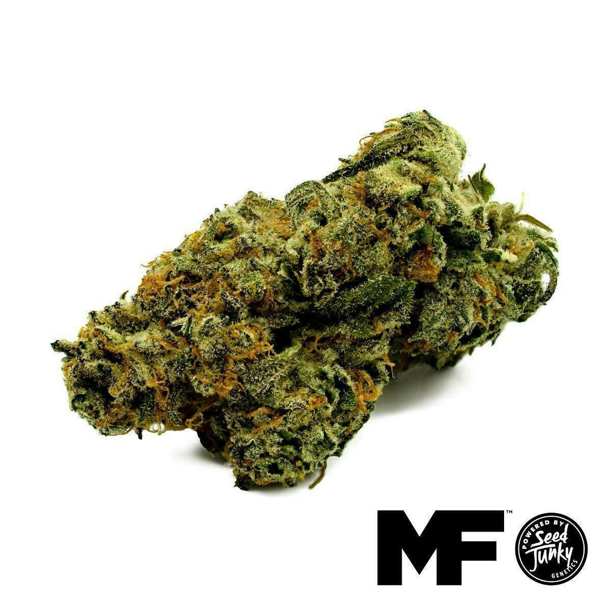 Modern Flower - Modern Flower | Lemon Chry X Cap Junky | Big Buds | 3.5g - 1