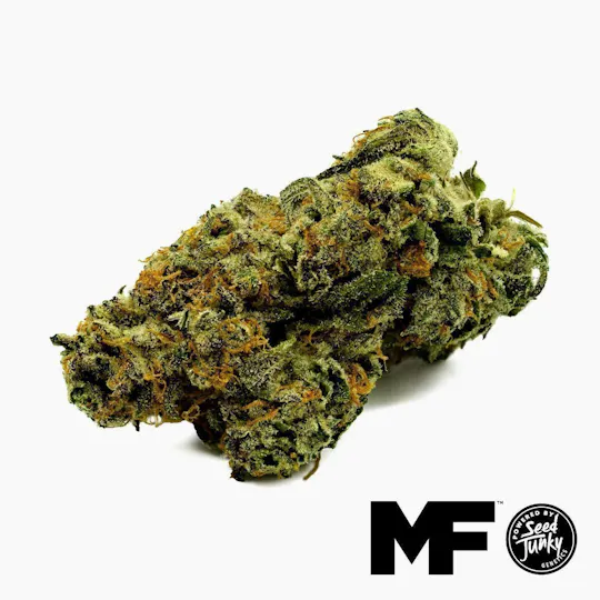 Modern Flower - Modern Flower | Lemon Chry X Cap Junky | Big Buds | 3.5g - 1