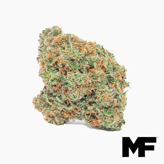 Modern Flower - Modern Flower | Cherry Pie | Big Buds | 3.5g - 1