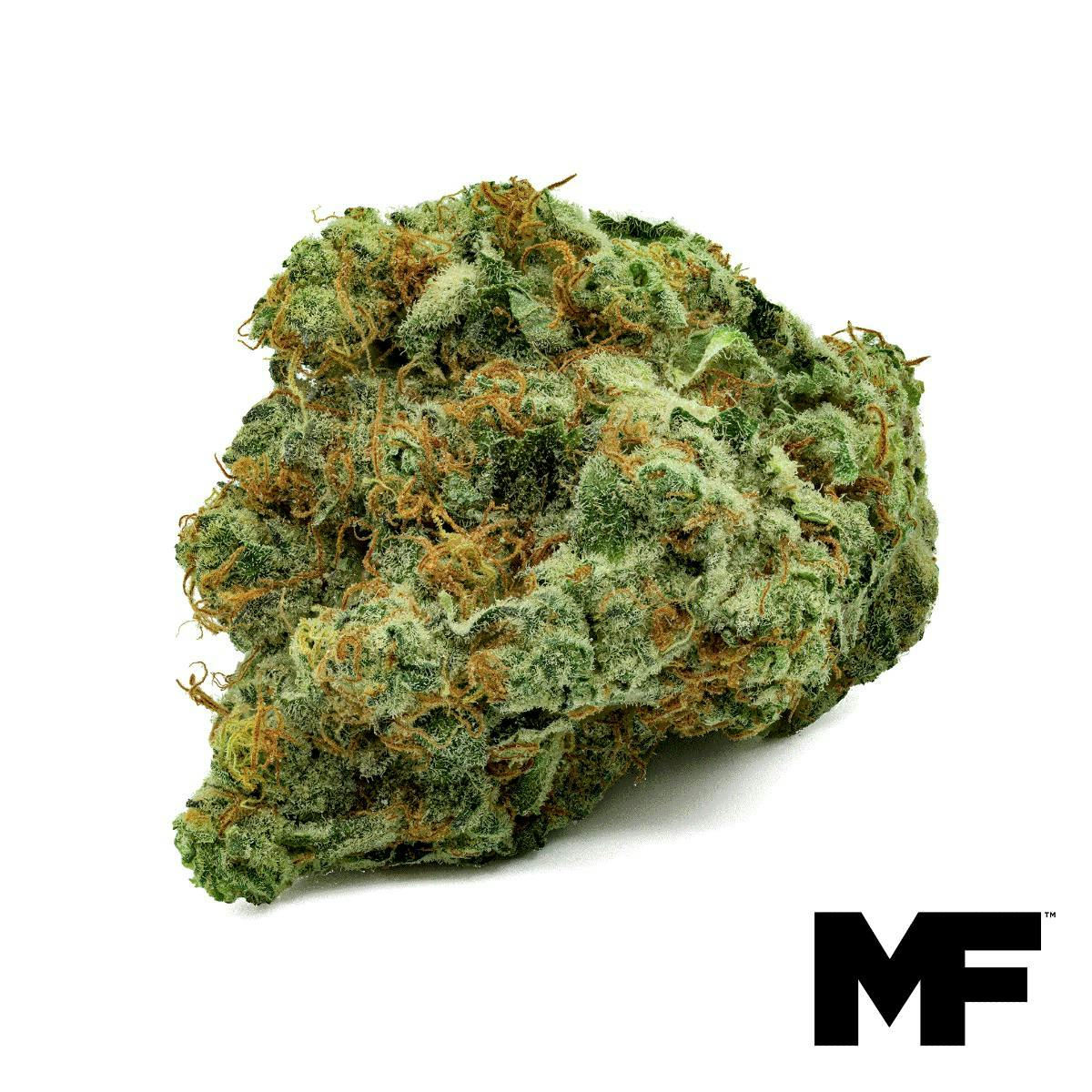 Modern Flower - Modern Flower | Fruit Gushers | Big Buds | 3.5g - 1